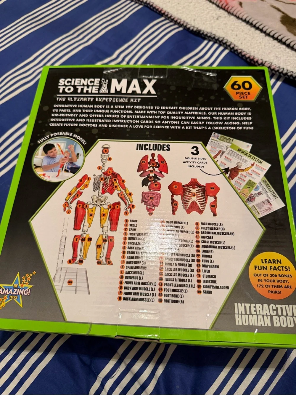To the Max Interactive Human Body Toy - Red, Pink, Yellow, White, Black